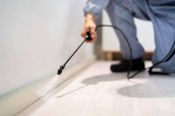 Licensed Termite Control service in West Blocton, AL - Nex Pest Control