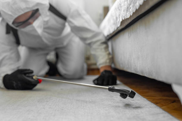 Professional Termite Control technician working in West Blocton, AL