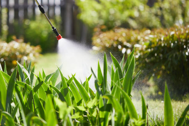 24/7 Emergency Termite Control experts in West Blocton, AL