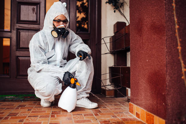 Reliable Termite Control contractor in West Blocton, AL by Nex Pest Control