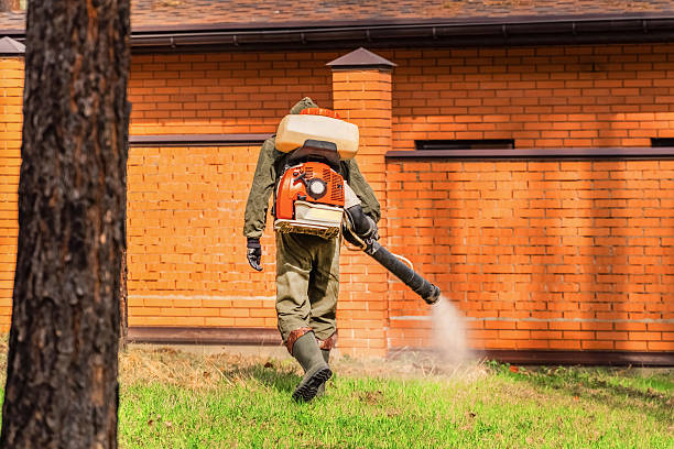 Trusted Bed Bug Control service in West Blocton, AL - Nex Pest Control